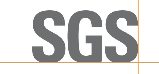 logo_sgs.jpg