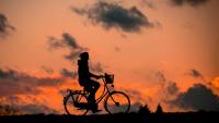 Go to work on a bike...