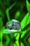 Die Themen Klimaschutz und Energieeffizienz sind Chefsache / Foto: Fotolia