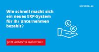 ROI-Rechner für mehr Klarheit bei der ERP-Investition