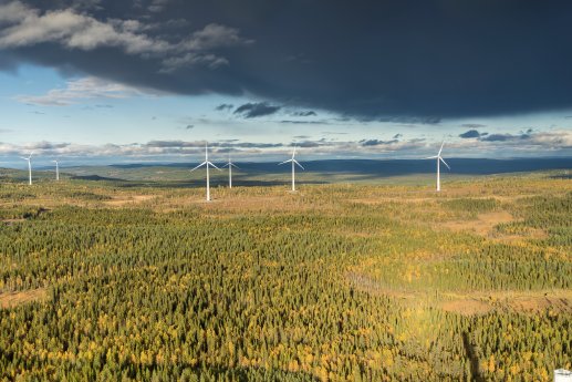 SGRE wind farm in Sweden.jpg