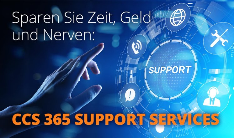 CCS 365 Support Services Visual.jpeg