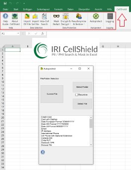 CellShield für PII PHI Suche und Schutz in Microsoft Excel.png
