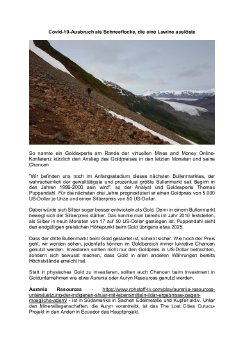 17.07.2020 Covid-19-Ausbruch als Schneeflocke, die eine Lawine auslöste.pdf