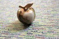 Co is everywhere: CO2, ecology, economy, corporation, cooperation, commerce, county, co-author.