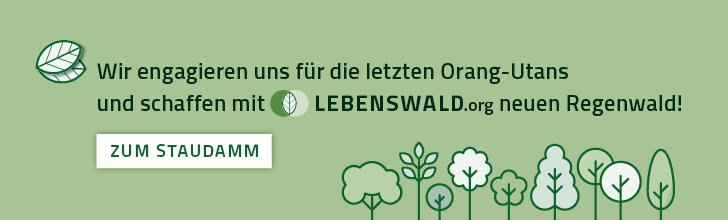 20201027-lebenswald-Banner-ZumStaudamm7.jpg
