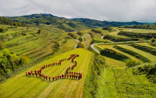 Hand in Hand die Oberbergener Baßgeige.jpg