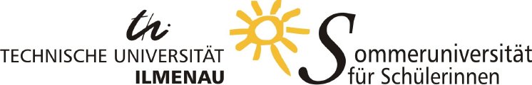55 11 Logo Sommeruni.JPG