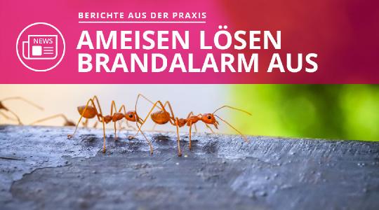 Alarmierung bei Brandalarm