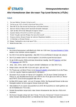 STRATO Hintergrundinformation neue TLDs.pdf
