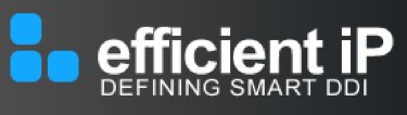 efficient IP Logo.png