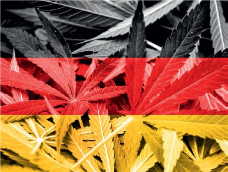 Cannabisgesetz_2024_Herausforderungen und  Chancen für die Sicherheitsbranche_Bild.png