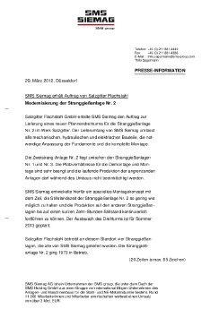 dsalzgitterflachstahl2.pdf