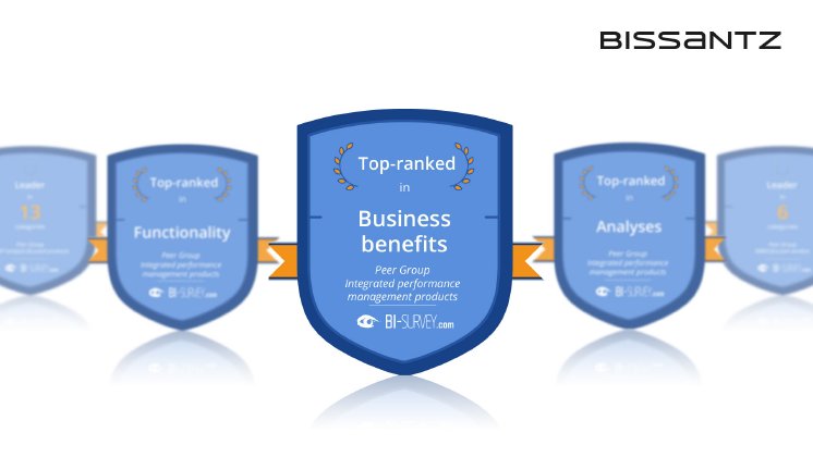 Bissantz - BI_Survey_2019.jpg