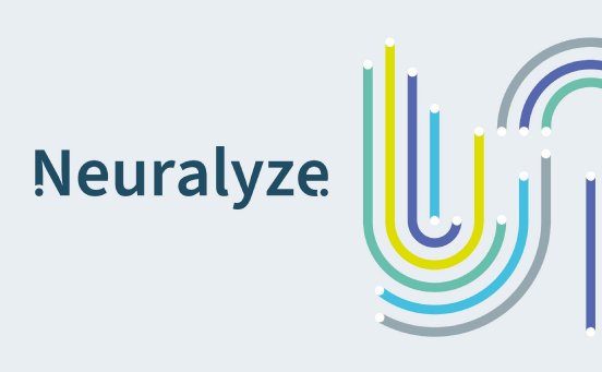 senswork-neuralyze-01.jpg