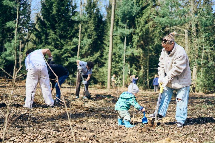 Gemeinschaft erfahrbar machen: Wir haben den BIL-Wald gepflanzt