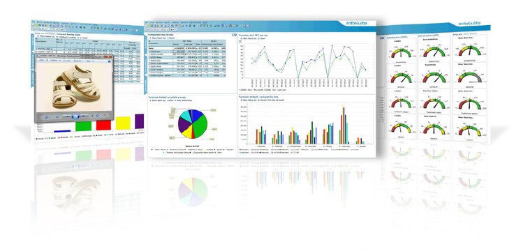 InfoSuite BI ist ein einzigartiges Werkzeug zur Visualisierung und Analyse von Daten mit ho.jpg
