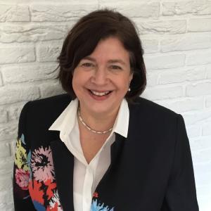 Dr. Sabina Hoekstra-van den Bosch neue Vorsitzende im NB-MED-Präsidium