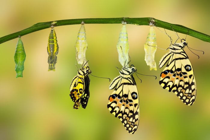 iStock-513760000.jpg
