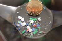 Due to their size, microplastic particles in water are difficult to detect. An EZD and ILM-Ulm project is showing ways to make this easier in future. (Photo: EZD) Due to their size, microplastic particles in water are difficult to detect. An EZD and ILM-Ulm project is showing ways to make this easier in future. (Photo: EZD)