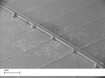 multi busbar cell under the scanning electron microscope
