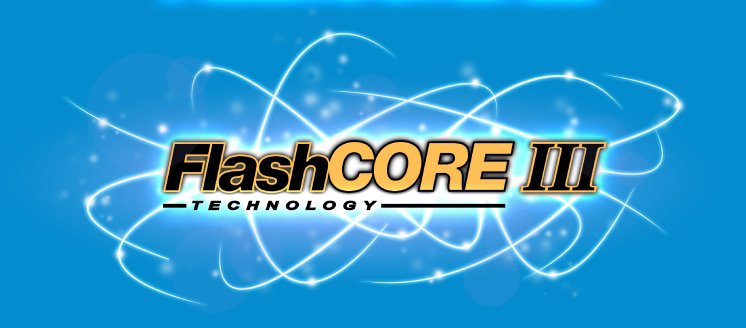 Logo_Flashcore III_300dpi.jpg