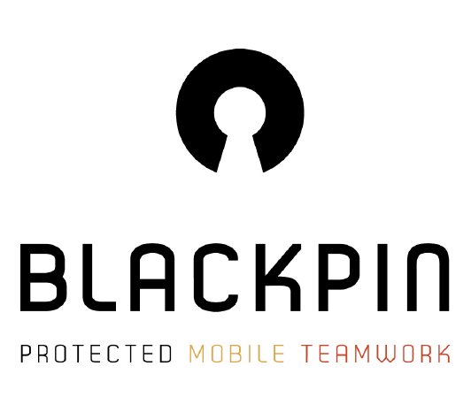 BLACKPIN_Logo_white.jpg