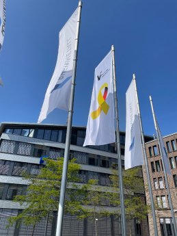 Veteranentag-Flagge.jpg