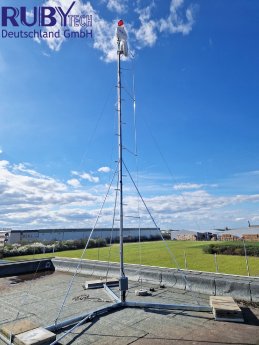 MAST-HEAVY10_2.jpg