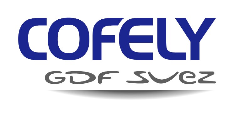 COFELY-Gdf Suez_42mm_RGB.jpg