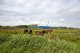 NO-DIG bringt Windenergie schonend an Land