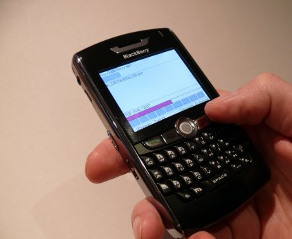 blackberry1.jpg