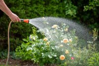 TÜV SÜD gibt Tipps zur modernen Gartenbewässerung