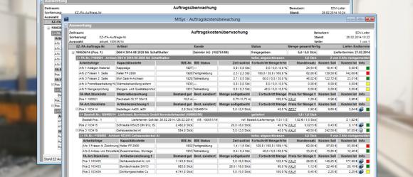 Projektüberwachung - Kosten und Termine glasklar