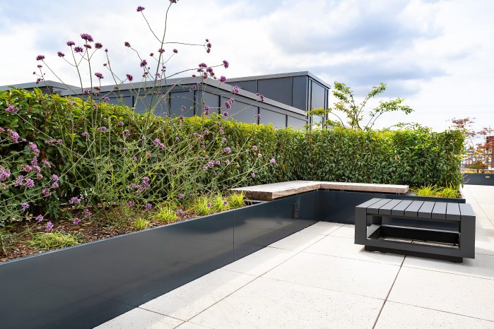 Optigruen_Objektbericht_Elektromaten GmbH Düsseldorf_03.jpg