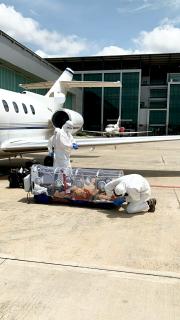 Aufwändiger Flugzeugtransport eines Corona-Patienten