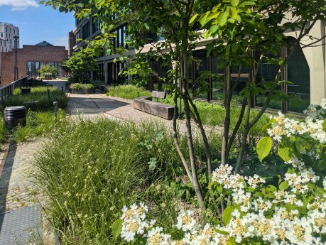 Optigruen_Referenz_am Postbahnhof Berlin_04.jpg