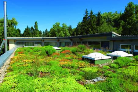 Even in some areas in Germany there is so little rainfall that an “Irrigated Extensive Green Roof” is going to be required