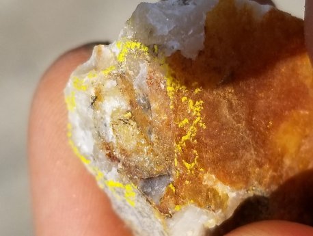 Photo of piece of core from Hole 2019-19 containing visible gold in rusty quartz.jpg