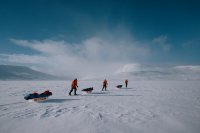 Auf dem Weg durch das Eis: Drei Mitglieder des internationalen Teams, unterstützt von Gebrüder Weiss, auf ihrer einmonatigen Expedition quer durch Grönland. (Quelle: Gebrüder Weiss / Niklas Marc Heinecke)