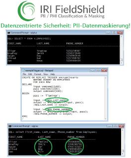IRI FieldShield ist ein robustes Startpunkt Datensicherheits-, Datenschutzgesetz- und Testdaten-Bereitstellungspaket, das personenbezogene Daten (PII) in mehreren Datenbanktabellen und strukturierten (Flat-File oder komprimierten) Dateiformaten - vor Ort oder in der Cloud, statisch oder als Streaming - mit einer oder mehreren Datenmaskierungsfunktionen findet, klassifiziert und konsistent abschirmt.