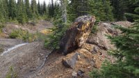 Auf dem Adams Plateau-Projekt von Silver47 Exploration