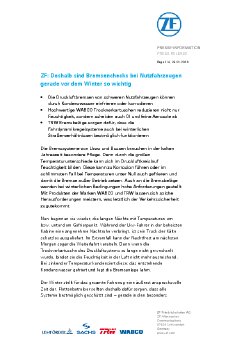 2020-11-26_ZF_Nfz_Wintercheck_DE.pdf