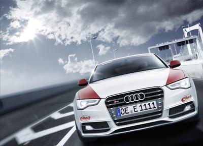 Eibach Audi S5 front bridge
