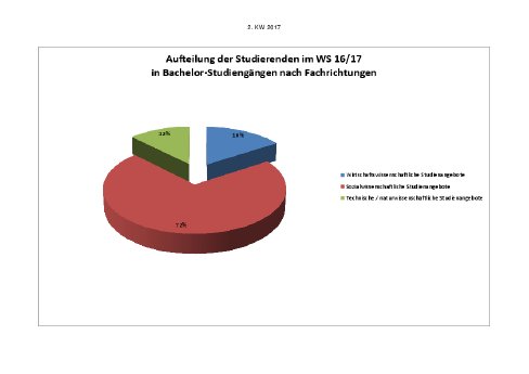 Stud_Bachelor_Fachrichtung.pdf