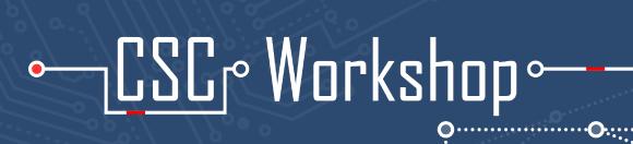 Logo CSC Workshop
