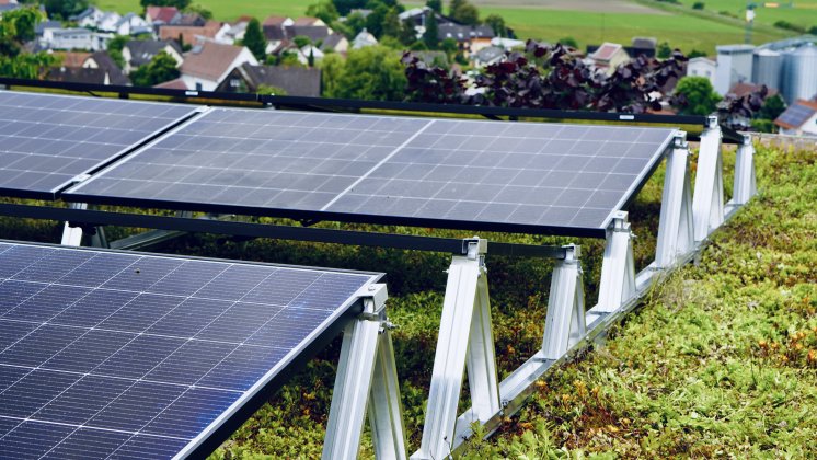 Optigruen-Solar TOP_03.JPEG