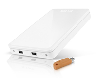 ICY BOX IB-Safe226 with AES-256 encryption key