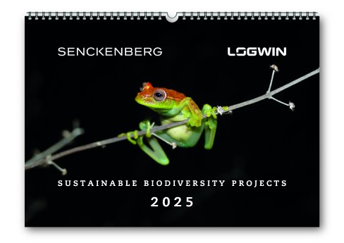 Logwin_Pressebild_06112024_Themenkalender-Biodiversität_2025.jpg