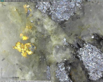 Sitka Gold - DDRCRG-25-003_94,85m.jpg